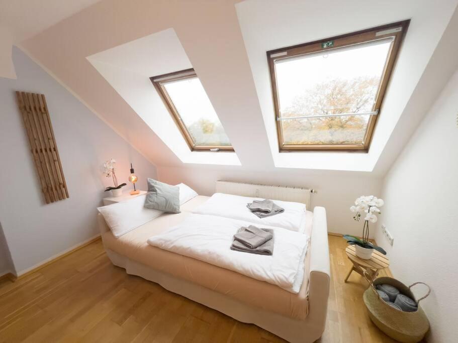 Apartment Casarina - Ueber Den Daechern Leipzigs